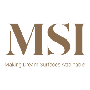 logo_msi (1)