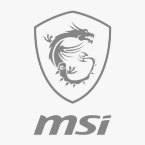 logo_msi